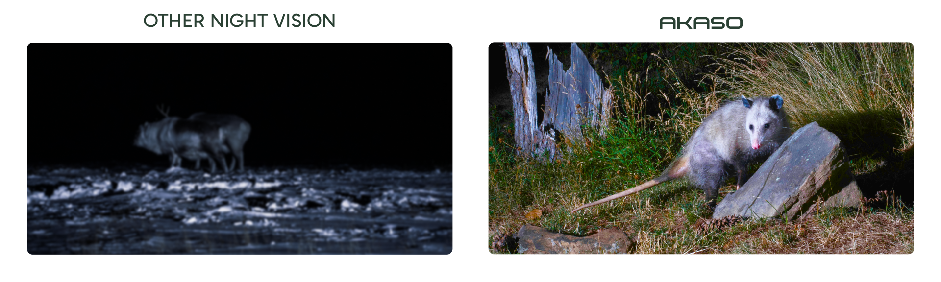 AKASO Sight-300 桌面端4K效果